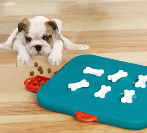 Pet Casino Treasure Hunt Puzzle (food spill toy) - Image 4