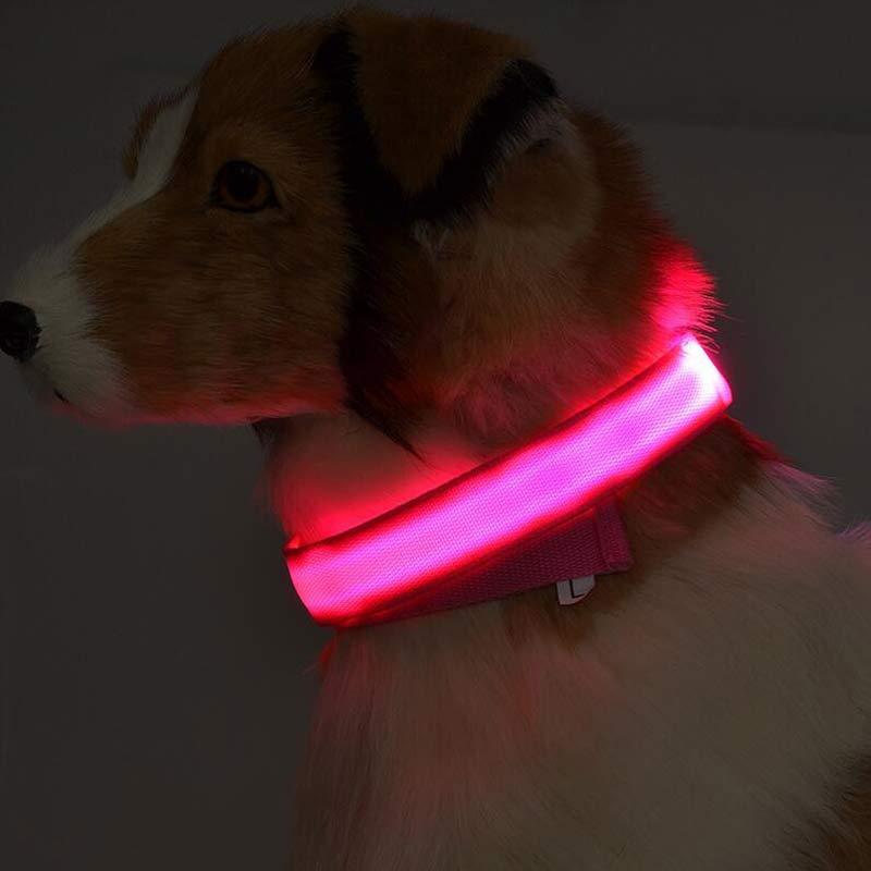 Nylon LED Luminous Dog Collar (glow in dark) - Image 4