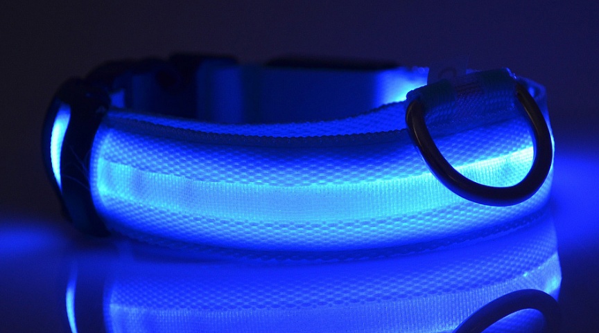 Nylon LED Luminous Dog Collar (glow in dark) - Image 5