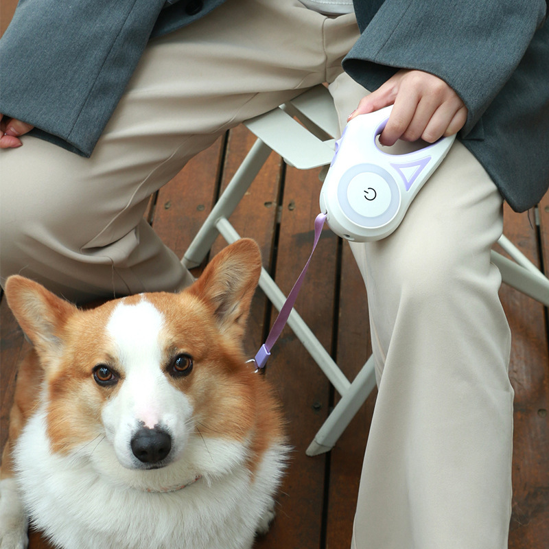 Retractable Dog Leash with Built-In Light
