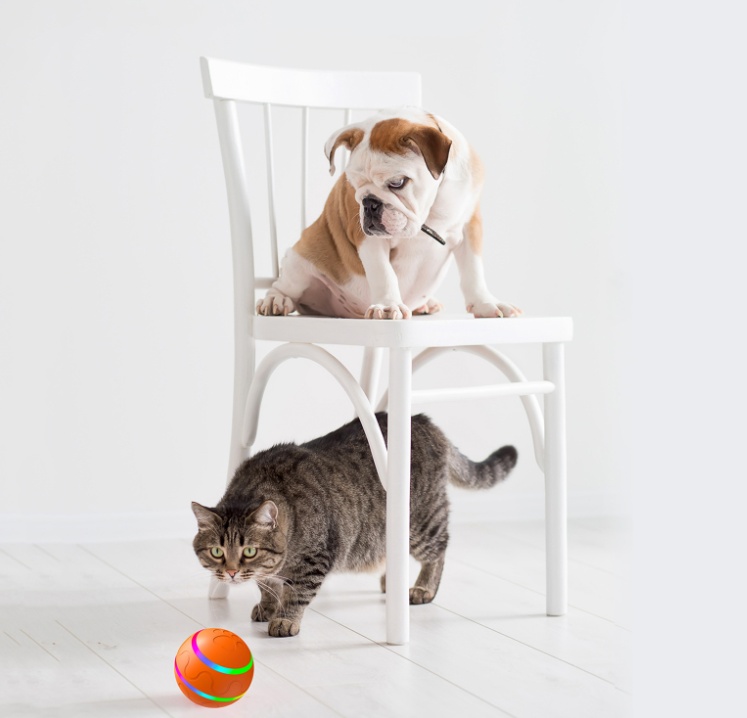 Smart Self-Rolling Ball Toy for Cats