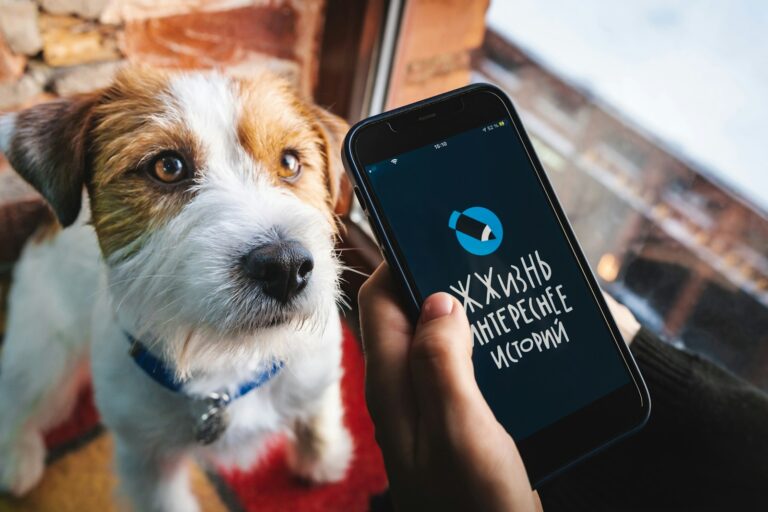 A pet owner checking a smartphone app while sitting next to a relaxed, happy dog, illustrating how technology supports modern pet care