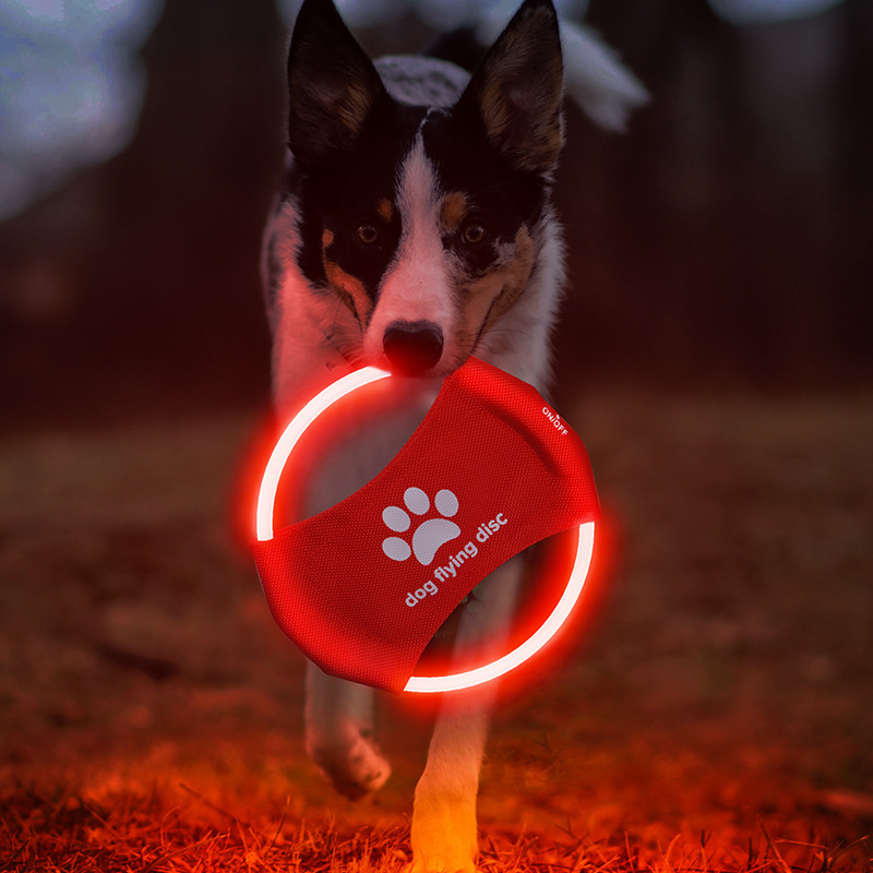 LED Glowing Flying Disc (training fetch toy) - Image 10