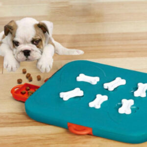 ffe9aae2-93ae-4454-a07e-4e8f5f2a37a6.jpg Pet Casino Treasure Hunt Puzzle (food spill toy)